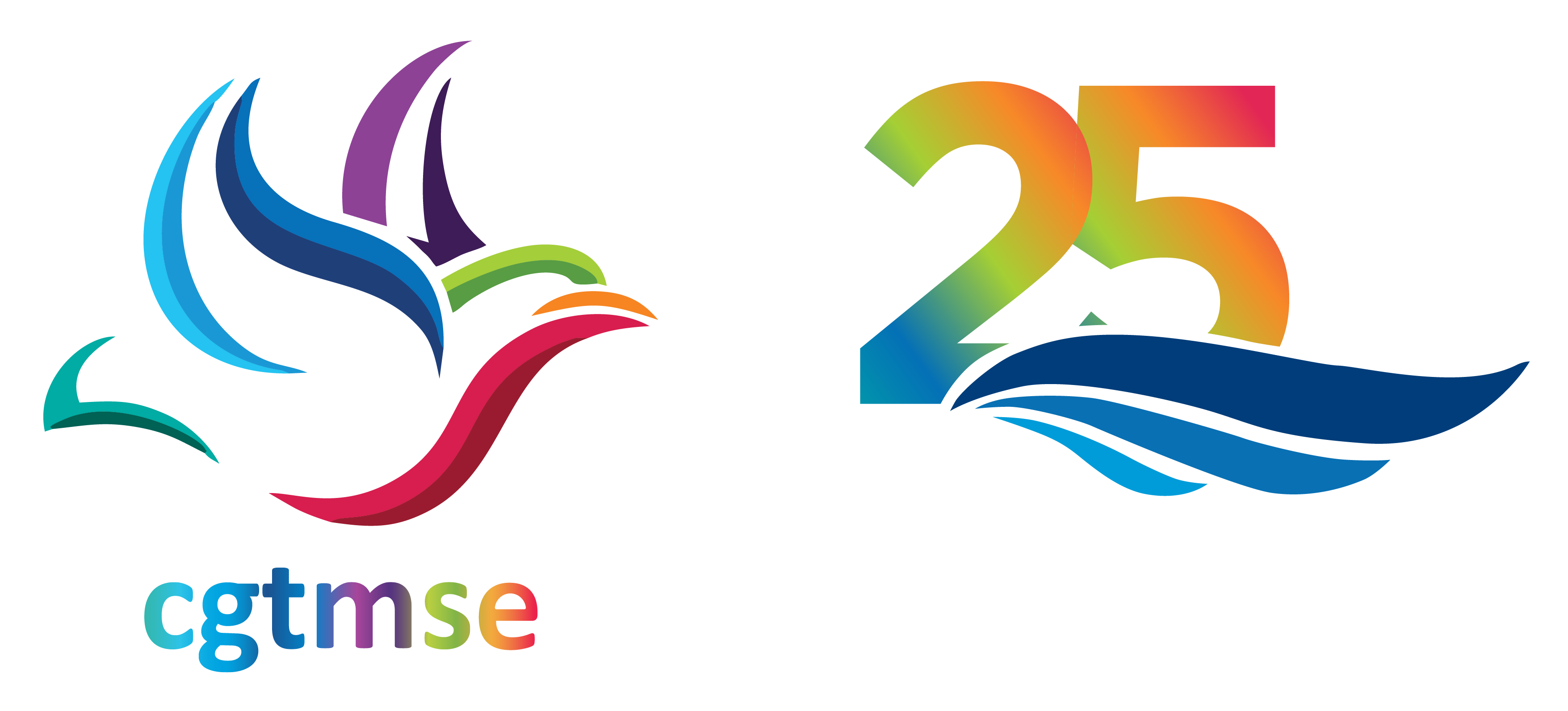 CGTMSE